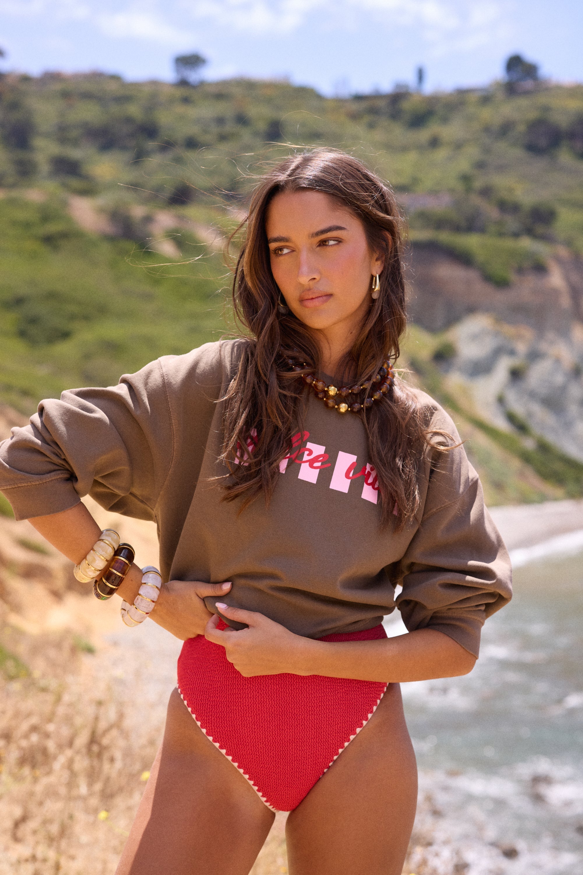"Dolce Vita" Garment Dye Crewneck - Brown