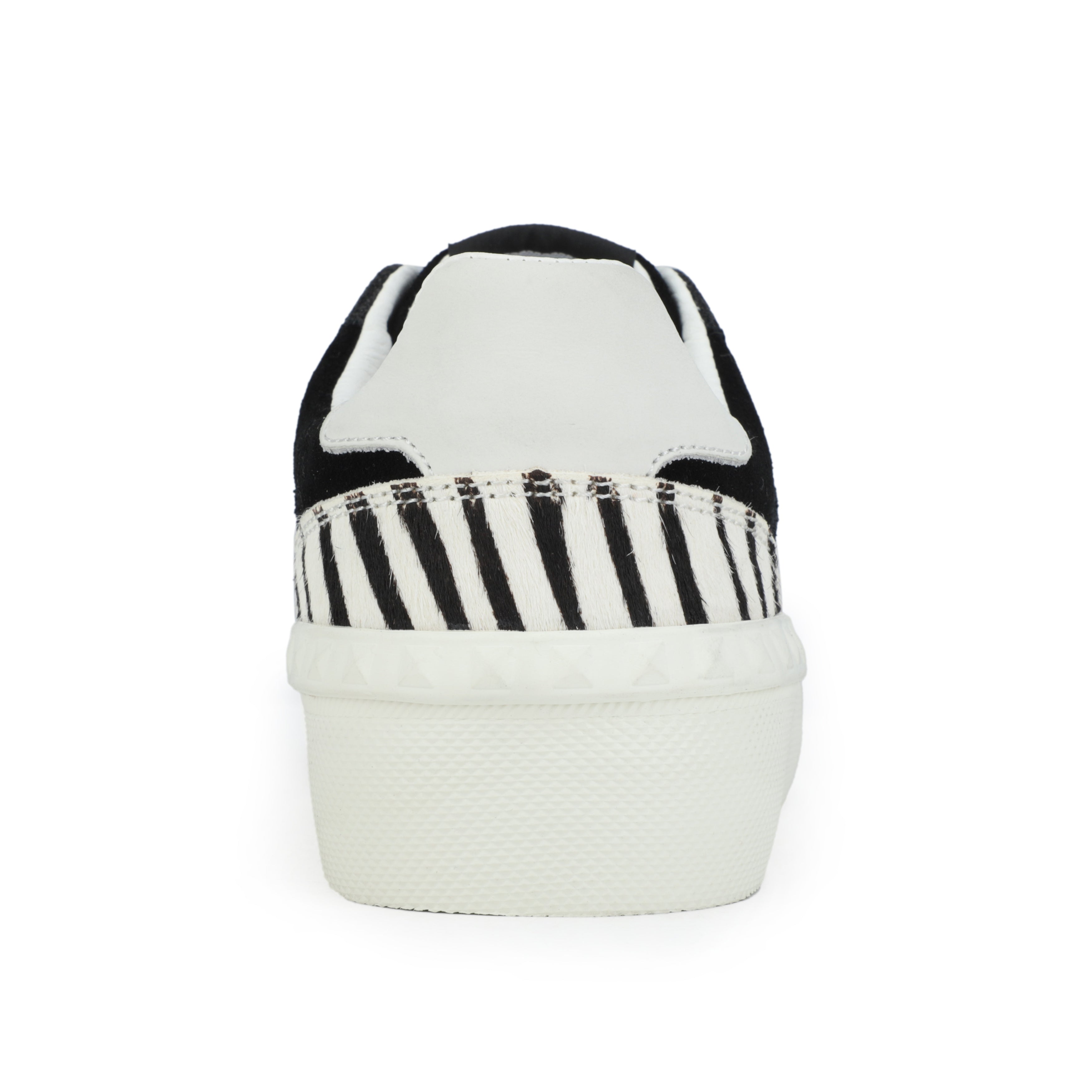 TEMPO - BLACK ZEBRA