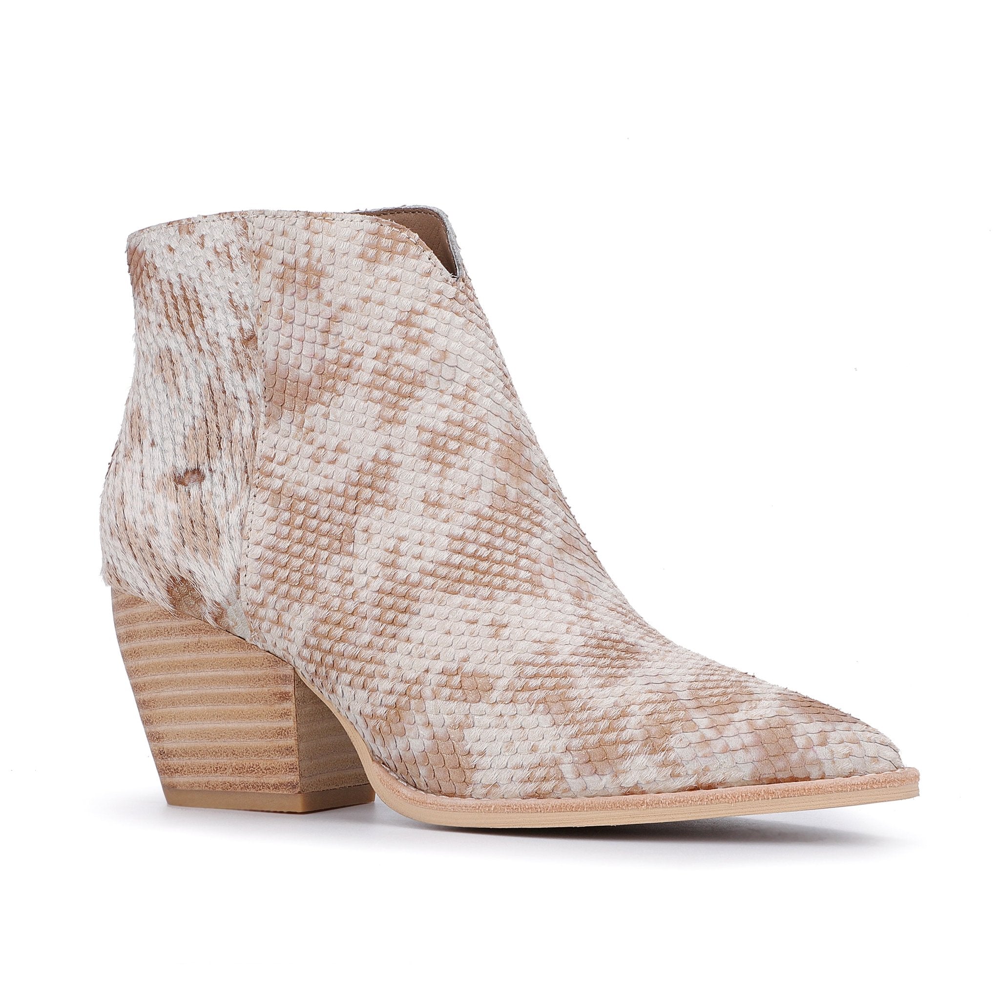 CASSIDY - SNAKE MULTI