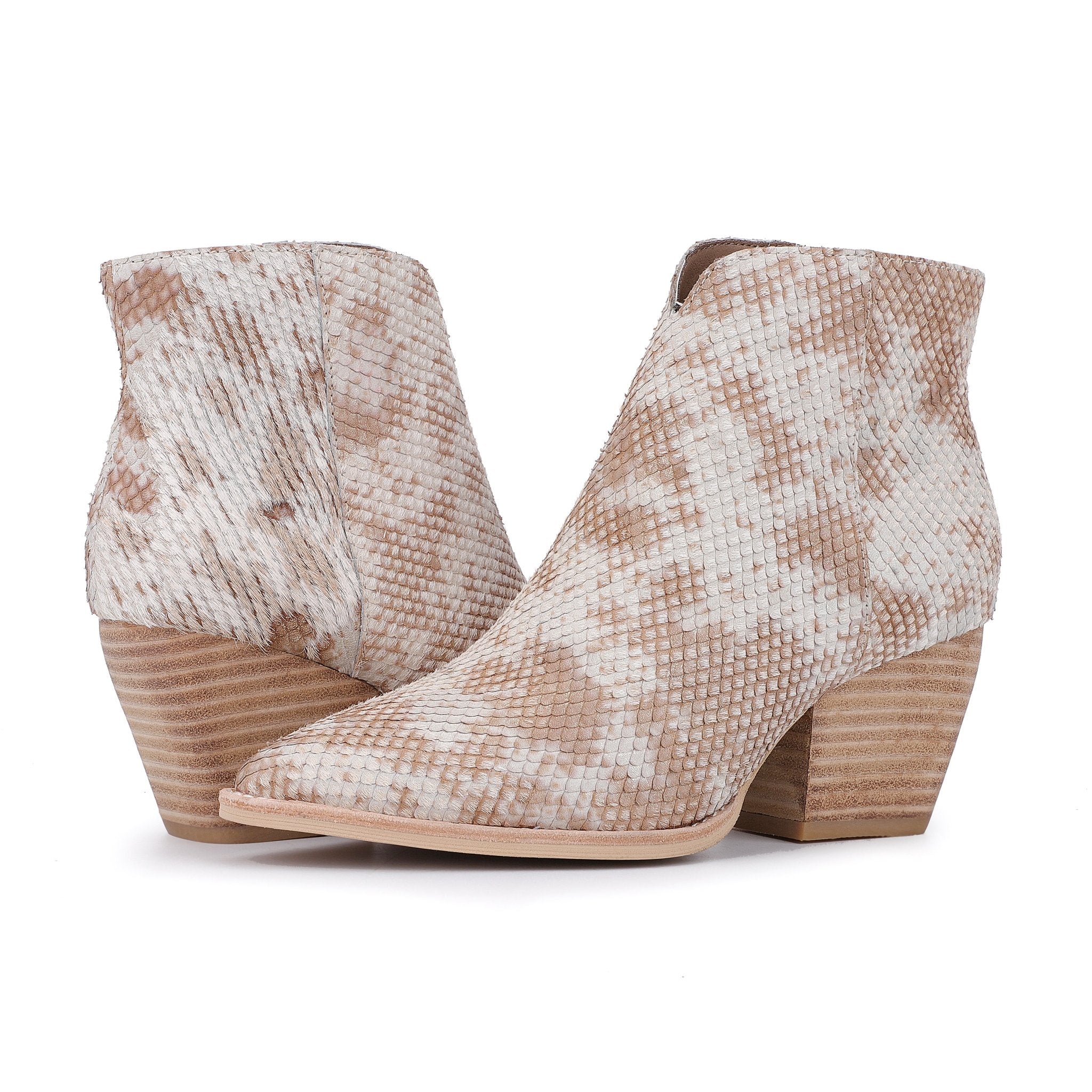 CASSIDY - SNAKE MULTI