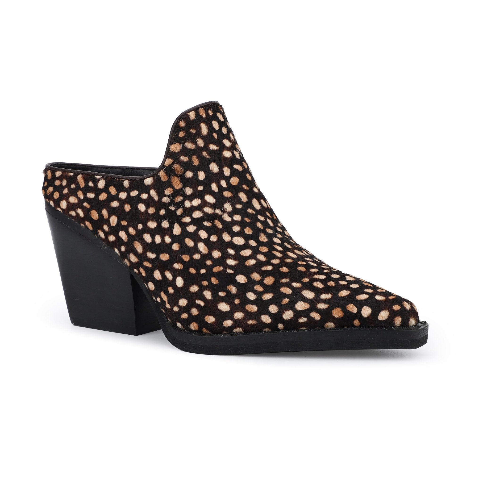 DANTE - SPOTTED BROWN