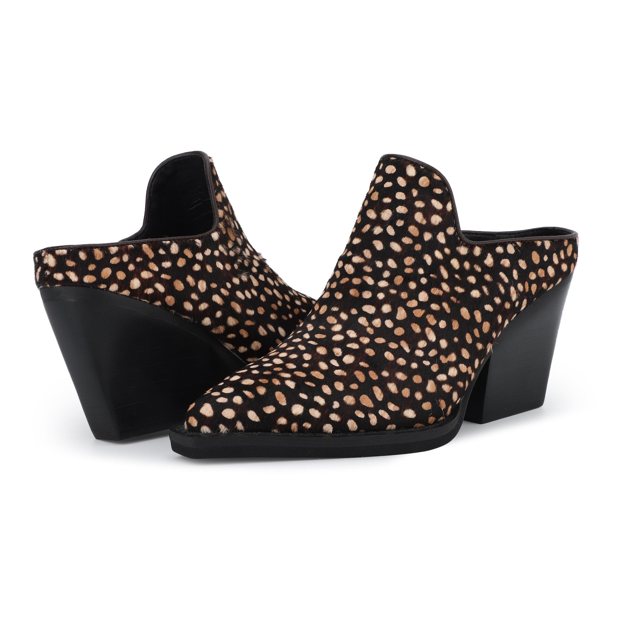 DANTE - SPOTTED BROWN