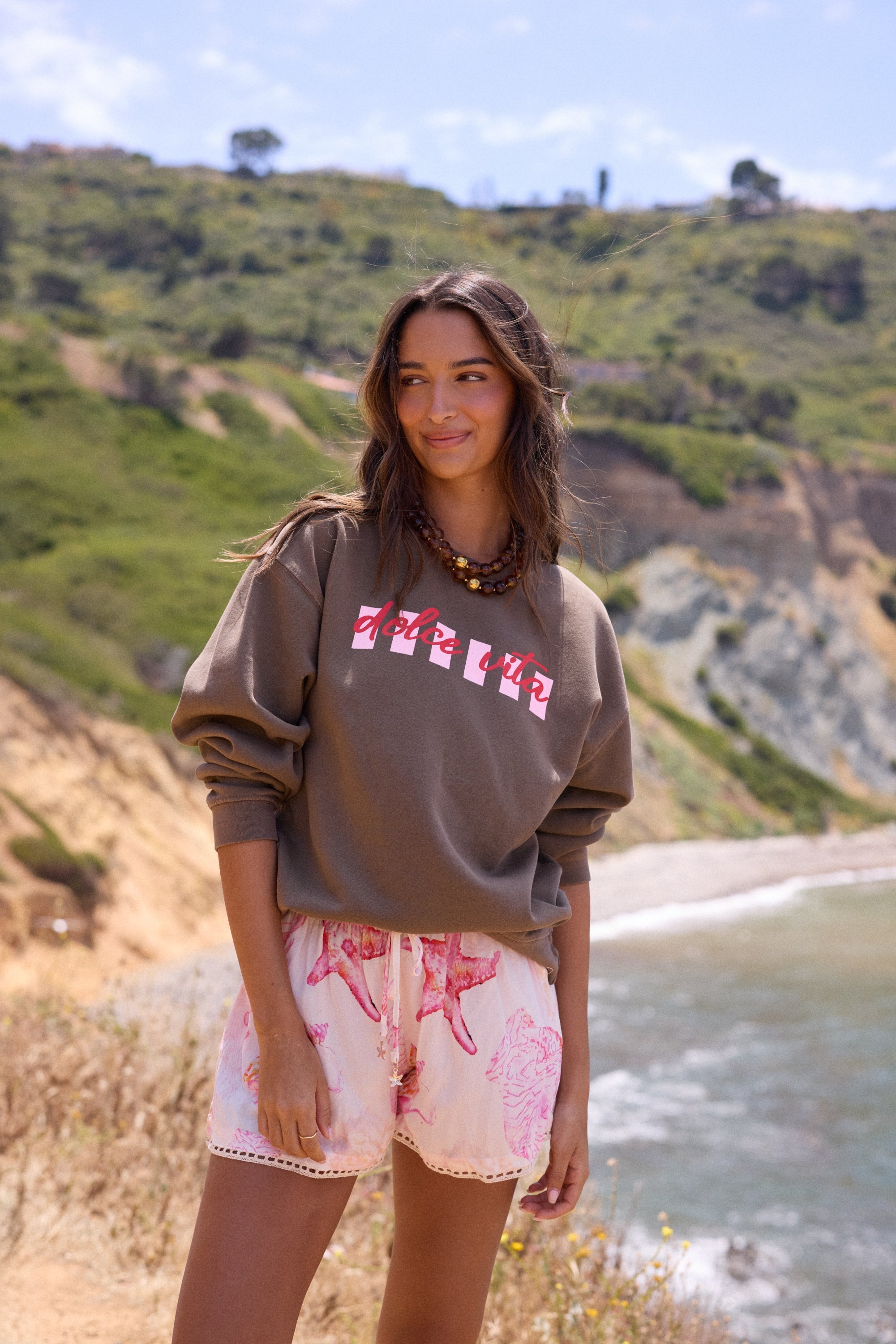 "Dolce Vita" Garment Dye Crewneck - Brown