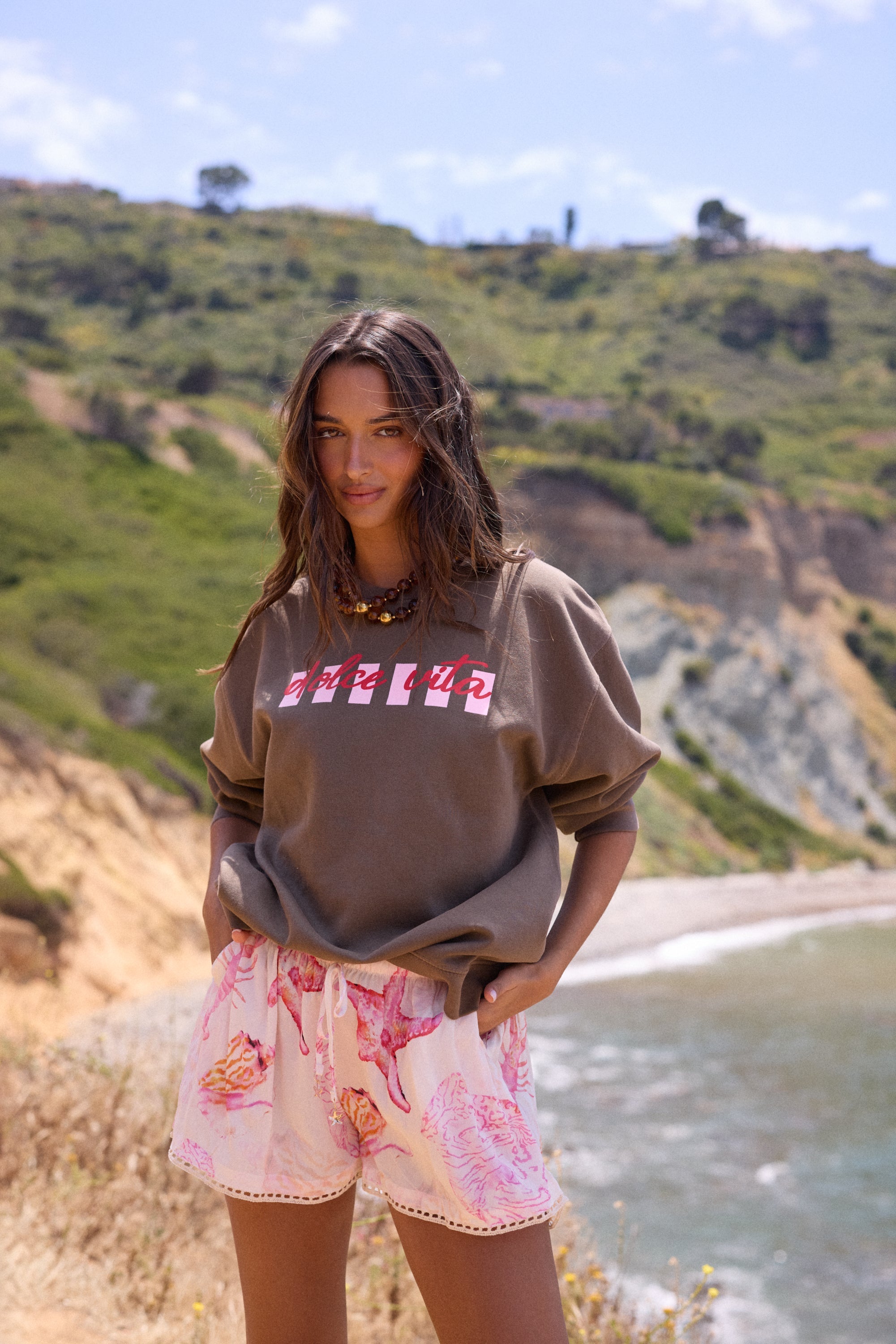 "Dolce Vita" Garment Dye Crewneck - Brown