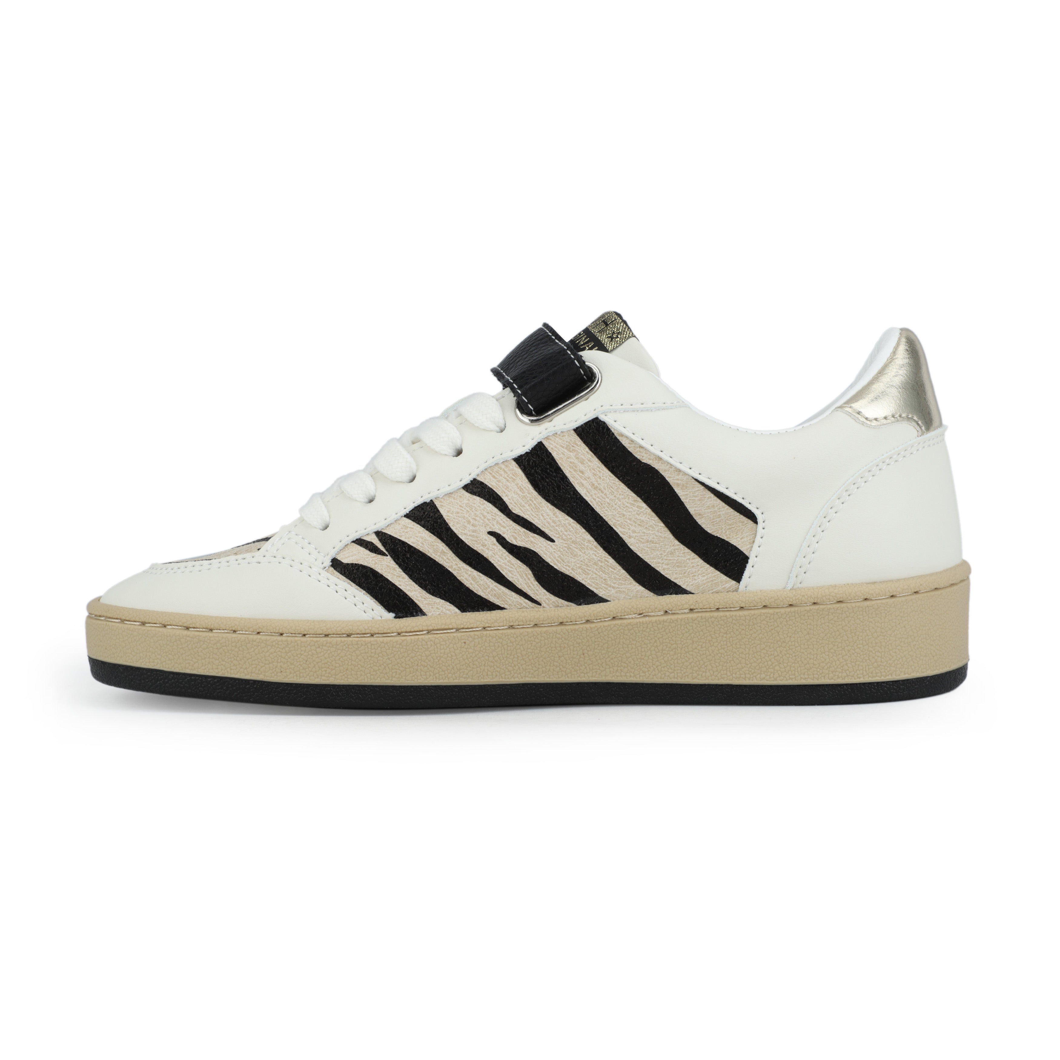 NEXT - WHITE ZEBRA