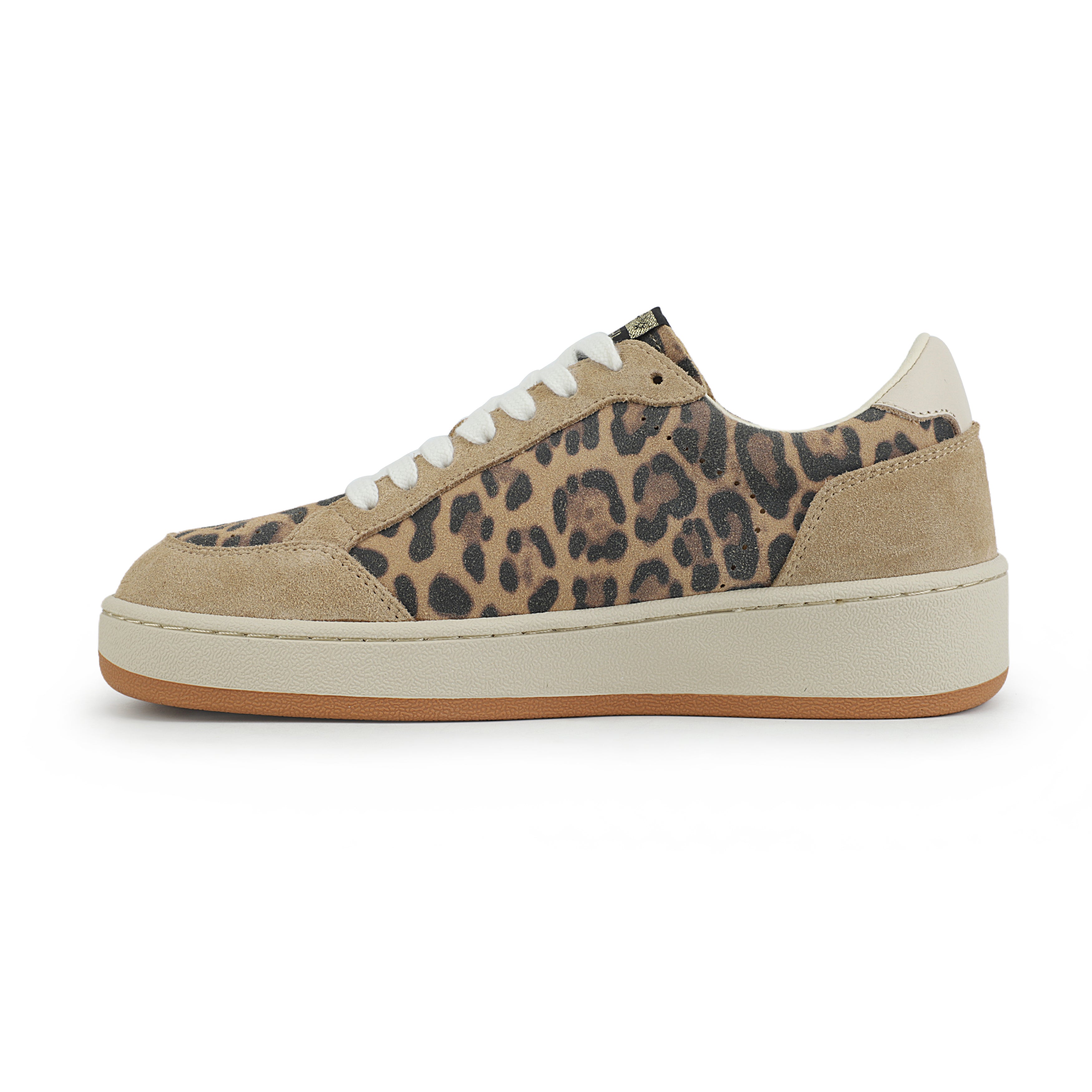 NOAH - WILD LEOPARD