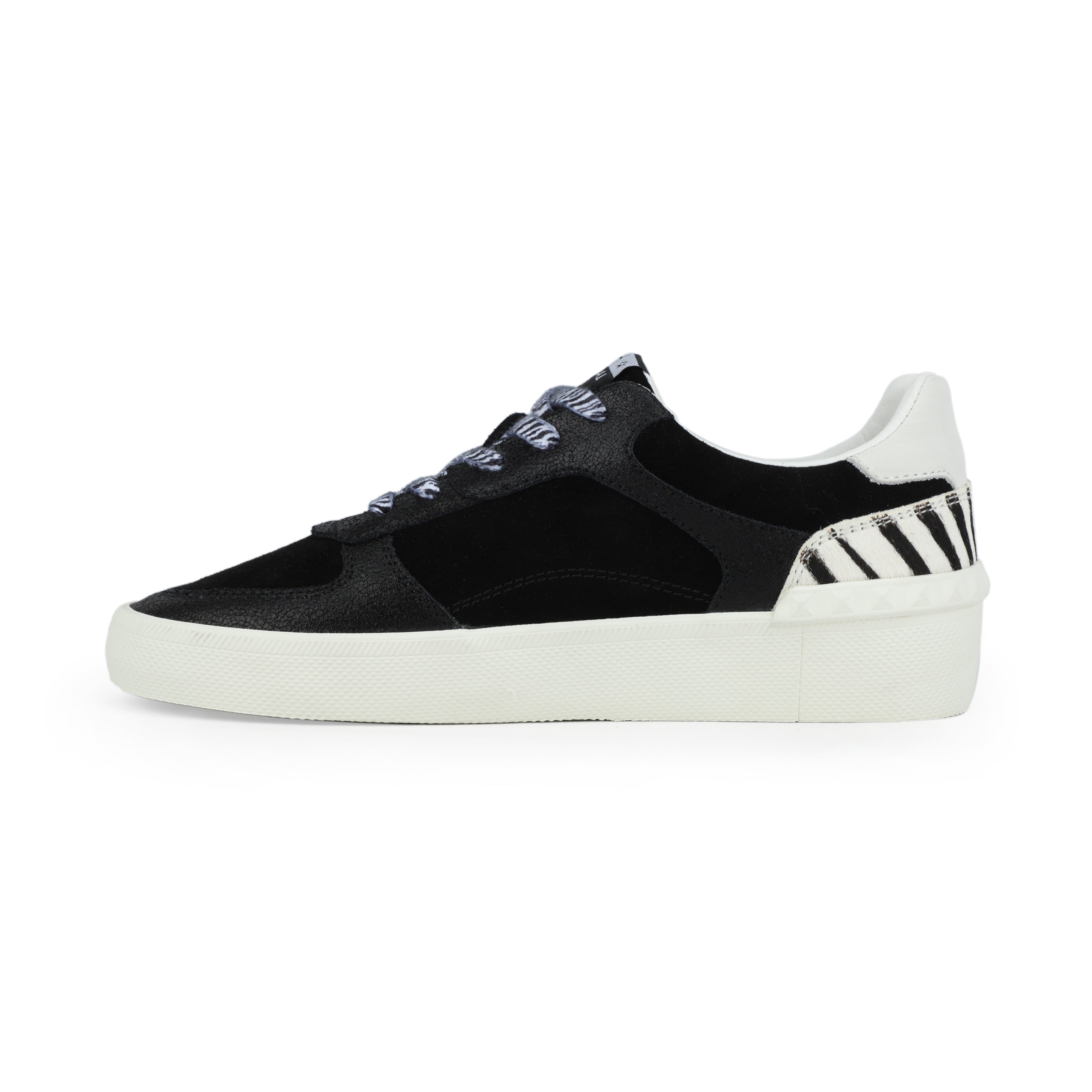 TEMPO - BLACK ZEBRA